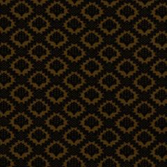 Beacon Hill Queenstown Ebony Color Library Collection Indoor Upholstery Fabric