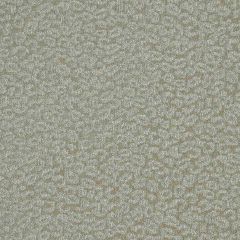 Robert Allen Windsor Locks Cove Modern Library Multi Purpose Collection Indoor Upholstery Fabric