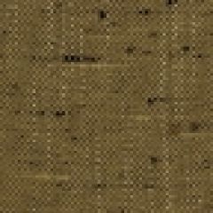 Robert Allen Alecon Twig 172944 Indoor Upholstery Fabric