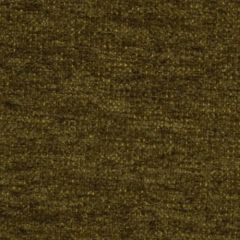 Beacon Hill Quito Moss 173056 Indoor Upholstery Fabric