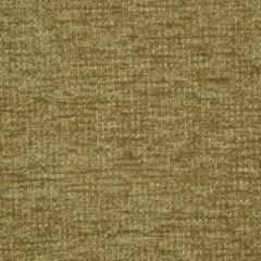 Beacon Hill Quito Meadow 173058 Indoor Upholstery Fabric