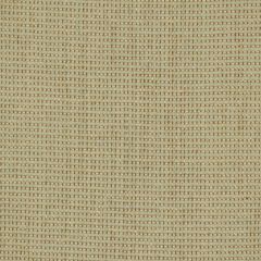 Beacon Hill Coquimbo Glacier Indoor Upholstery Fabric