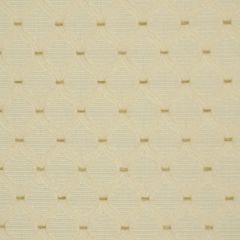 Robert Allen Ozian Orchid Color Library Collection Indoor Upholstery Fabric