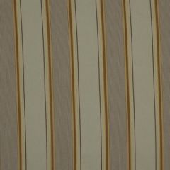 Robert Allen Burdeos Pistachio 173283 Indoor Upholstery Fabric