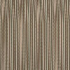 Robert Allen Caldas Pistachio 173291 Indoor Upholstery Fabric