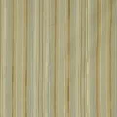 Robert Allen Pizazz Pistachio 173299 Indoor Upholstery Fabric