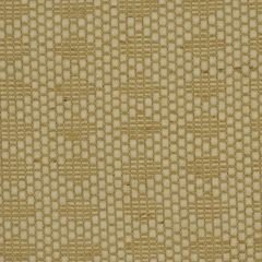 Robert Allen Brownwood Orchid Color Library Collection Indoor Upholstery Fabric