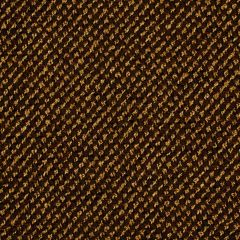 Beacon Hill Iguazu Espresso Indoor Upholstery Fabric