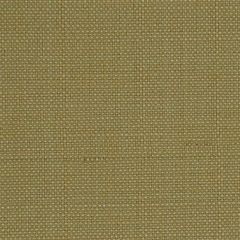 Robert Allen Texturetake Raffia Home Upholstery Collection Indoor Upholstery Fabric