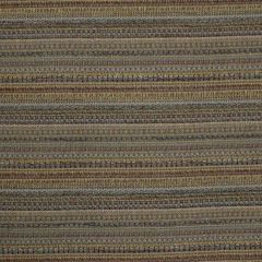 Robert Allen Corofin Rain Essentials Collection Indoor Upholstery Fabric