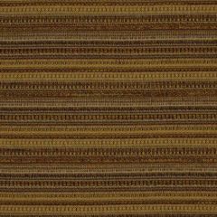 Robert Allen Corofin Toffee 173732 Indoor Upholstery Fabric