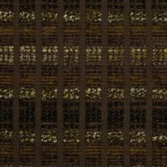 Robert Allen Ragin Cajun Molasses 173752 Indoor Upholstery Fabric