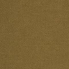 Robert Allen Gentle Dream Twig 173758 Indoor Upholstery Fabric