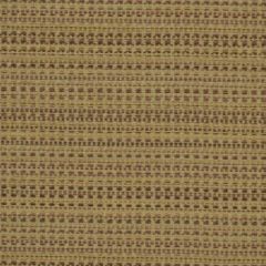 Robert Allen Stargazer Glow Amethyst 173794 Indoor Upholstery Fabric