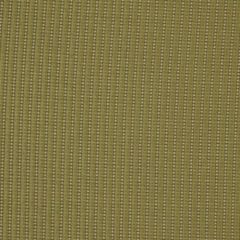 Robert Allen Balbriggan Pistachio 173796 Indoor Upholstery Fabric