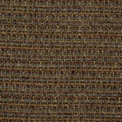 Robert Allen Watertown Rain Essentials Collection Indoor Upholstery Fabric