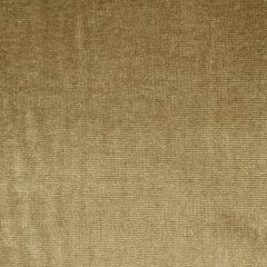 Robert Allen Soft Textures Twig Essentials Collection Indoor Upholstery Fabric