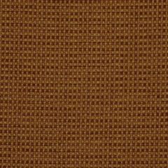 Robert Allen Mastria Chili 173819 Indoor Upholstery Fabric