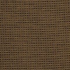 Robert Allen Mastria Amethyst 173820 Indoor Upholstery Fabric