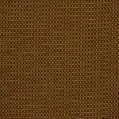 Robert Allen Mastria Twig Essentials Collection Indoor Upholstery Fabric