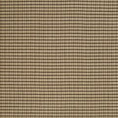 Robert Allen Aoife Twig 173849 Indoor Upholstery Fabric