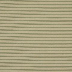 Robert Allen Aoife Pistachio 173852 Indoor Upholstery Fabric