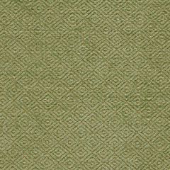 Robert Allen Dervish Pistachio Essentials Collection Indoor Upholstery Fabric