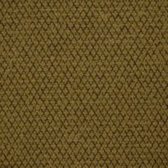 Robert Allen Arrow Way Chai 174142 Indoor Upholstery Fabric