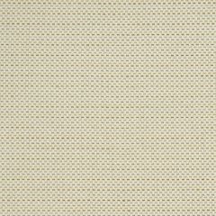 Robert Allen Seminole Glory Butternut Essentials Collection Upholstery Fabric