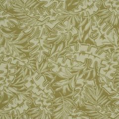 Robert Allen Rath Yatra Avocado 174354 Indoor Upholstery Fabric