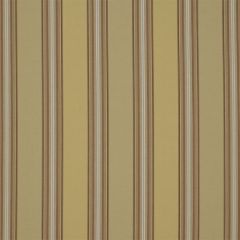 Robert Allen Fine And Dandy Toffee 175606 Indoor Upholstery Fabric