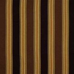 Robert Allen Fine And Dandy Java Essentials Collection Indoor Upholstery Fabric