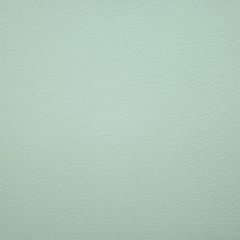 Aldeco Storm Fr Arctic Blue A9 0003STOR Bloom Collection Contract Upholstery Fabric