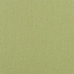 Baker Lifestyle Carnival Plain Grass PF50420-735 Carnival Collection Multipurpose Fabric