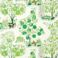 F Schumacher Citrus Garden  Leaf 177332 Indoor/Outdoor Collection Upholstery Fabric