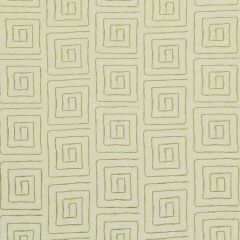 Robert Allen Amazing Race Kiwi Essentials Multi Purpose Collection Indoor Upholstery Fabric