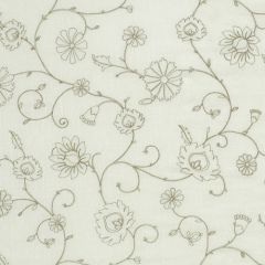 Robert Allen Ladies Choice Chai 178038 Multipurpose Fabric