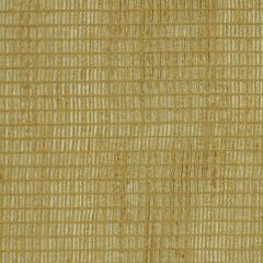 Robert Allen Spring Promise Hay Essentials Multi Purpose Collection Indoor Upholstery Fabric