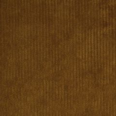 Robert Allen Breguet Paprika 178201 Indoor Upholstery Fabric