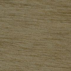 Robert Allen Ballinbogle Truffle 178404 Multipurpose Fabric