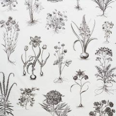 F Schumacher Cabot Botanical Large Ivory 178740 Schumacher Classics Collection Indoor Upholstery Fabric