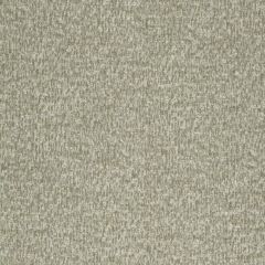 Robert Allen Glintwood Driftwood 245993 Landscape Color Collection Indoor Upholstery Fabric