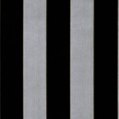 Robert Allen Criterion Jet 179177 by Larry Laslo Multipurpose Fabric