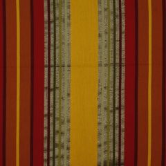 Robert Allen Aquavite Carnelian 179306 by Larry Laslo Multipurpose Fabric