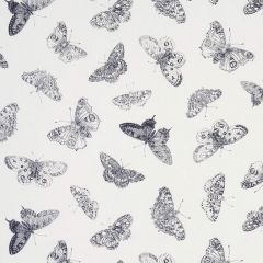 F Schumacher Burnell Butterfly Black 179430 Misterioso Collection Indoor Upholstery Fabric