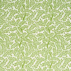 F Schumacher Temple Garden II Green 179501 Happy Together Collection Indoor Upholstery Fabric
