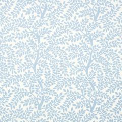 F Schumacher Temple Garden II Sky On Ivory 179503 Preppy Chic Collection Indoor Upholstery Fabric