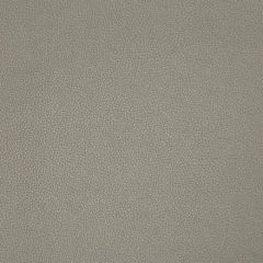 Kravet Contract Syrus Truffle 2106 Indoor Upholstery Fabric