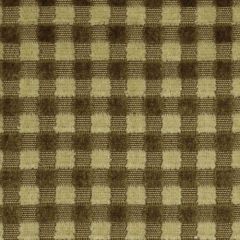 Robert Allen Regency Board Twig 179985 Indoor Upholstery Fabric