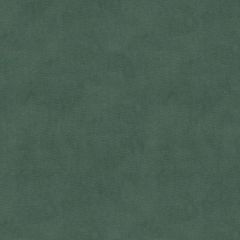 Kravet Design Green 33125-135 Indoor Upholstery Fabric